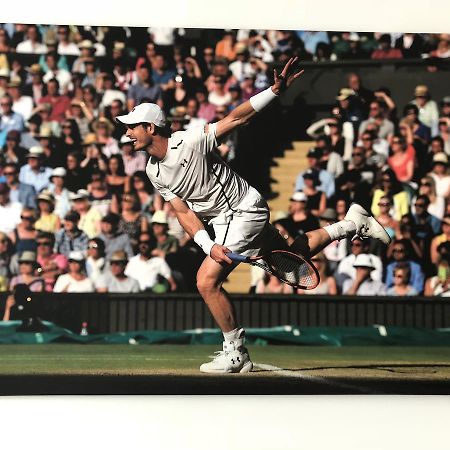 Pension Tennisweber Schwechat Dış mekan fotoğraf
